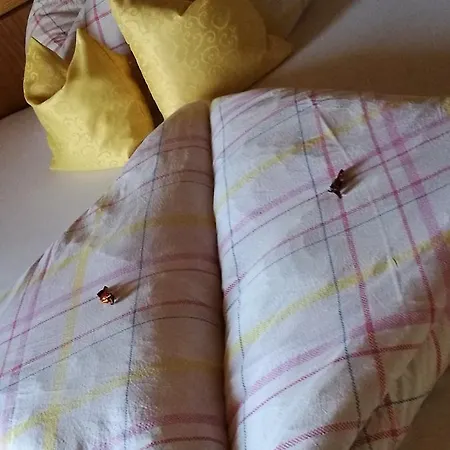 Pensionat Gaestepension Wiesenheim