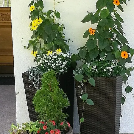 Gaestepension Wiesenheim Sautens