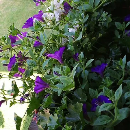 Gaestepension Wiesenheim