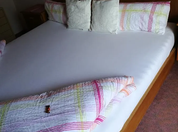 Gaestepension Wiesenheim ザウテンス