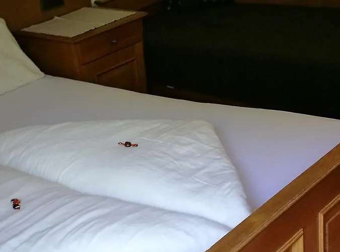 Gaestepension Wiesenheim ザウテンス