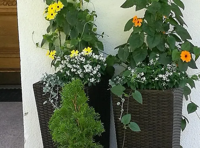 Gaestepension Wiesenheim ザウテンス