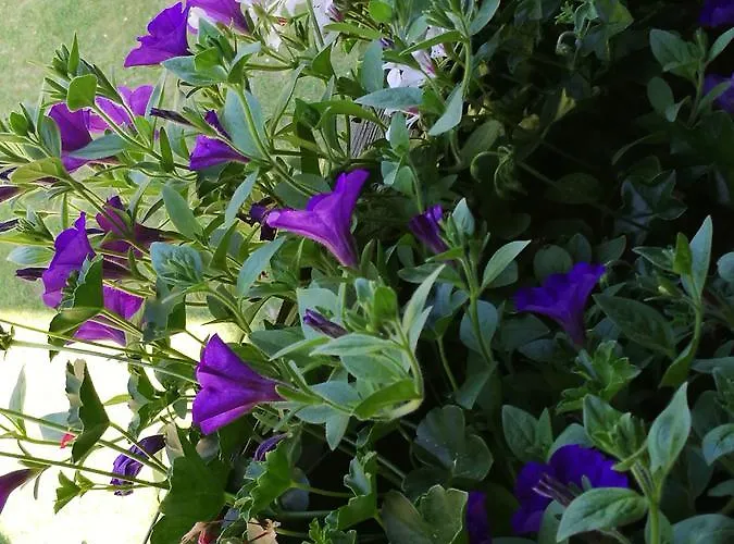 Gaestepension Wiesenheim