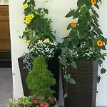 Gaestepension Wiesenheim Sautens